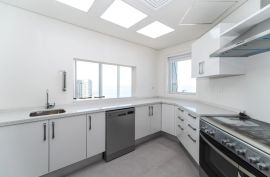 For rent luxury apartments for families(foreigner)