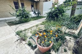 villa for rent in Salwa block 6 