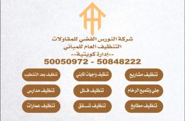 شركة تنظيف النورس الفضي 