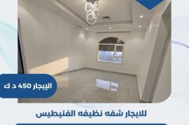 للايجار شقه نظيفه في الفنيطيس 