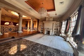 For rent: Villa (palace) in Surra