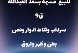 للبيع  فيلا بسعد العبدالله ق9 
